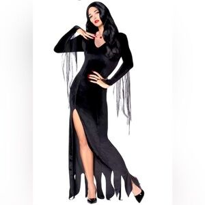 Enchanting Morticia Adams Black Costume